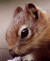 Qyd's Avatar