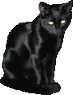 katzdvd's Avatar