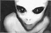 atifsh's Avatar